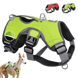 Harnais les accessoires de harnais de harcèlement de chien