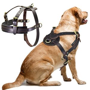 Harnies Soft Leather Big Dog Harness voor middelgrote grote honden Pitbull verstelbare huisdier harnas vest bulldog husky rottweiler harnassen