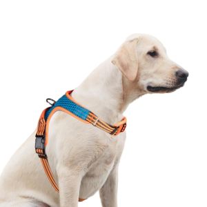 Harnassen Zomerkoelharnas voor huisdieren Zacht ademend gaasvest met zijclip Verstelbare reflecterende hondenborstband, D-ring aan de achterkant