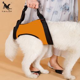 Harnais TAILUP S/M/L harnais de soutien de levage de chien malade âgé avec poignée harnais de jambe arrière pour animaux de compagnie en néoprène