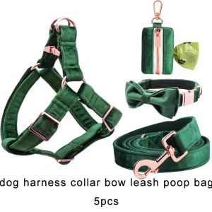Harnais pour chien en velours vert, pattes de Style Unique, personnalisé, laisse de base pour chien, collier en velours avec nœud pour chien ou chat
