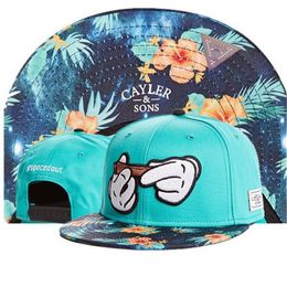 Sombrero Hip-hop Hombres Mujeres Snapbacks al por menor Moda CAYLER SONS Snapback