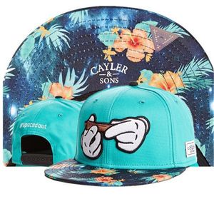 Hut Hip-Hop Männer Frauen Snapbacks Einzelhandel Mode CAYLER SONS Snapback