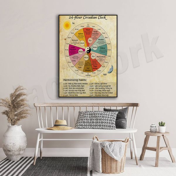 HD Print Poster Home Decor 24 heures circadienne Organe d'organe d'organe