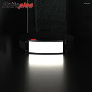 Koplampen Draagbare LED-koplamp COB Krachtige koplamp Waterdichte lantaarn voor buiten Fish Run USB oplaadbaar