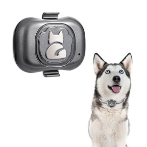 Écouteur 4G GPS Tracker pour chiens Locator étanche Antillet Dispositif Smart Phone Object Finder Small Alarm Pet Antitheft Device Collar