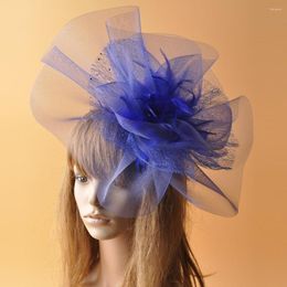 Headpieces Banquet Feather Hair Pins hoofdtooi trouwfeest bruids tiara vrouwen fascinators clip dames accessoire hoofdband