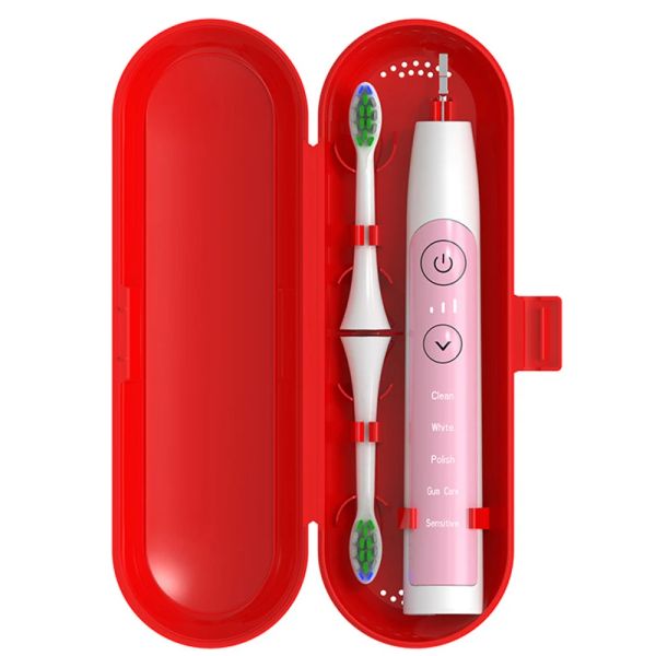Têtes 1 boîtier de brosse à dents PC Boîte du support de brosse portable Boîte de rangement de protection de voyage en plastique en plastique de couleur unie légère