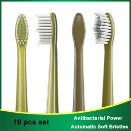 Têtes 10pcs pour roaman t10 / t10s / t3 / t5 brosse à dents têtes de tête de remplacement adaptées à la tête de brosse de précision de précision verte avocat