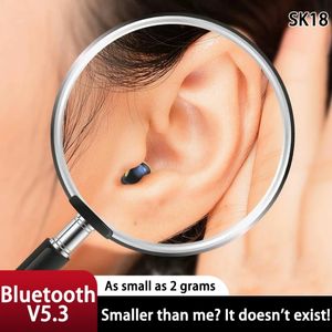 Casque Bluetooth Wireless V5.3 Hifi Sound Quality Sleep Invisible Sleep confortable à porter avec Mic Smart Touch Earbuds pour iOS