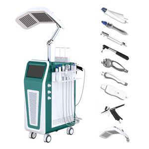 Health Beauty 600W Full Body PDT LED Light Therapy Vertical Infrared Light Therapy PDT Machine