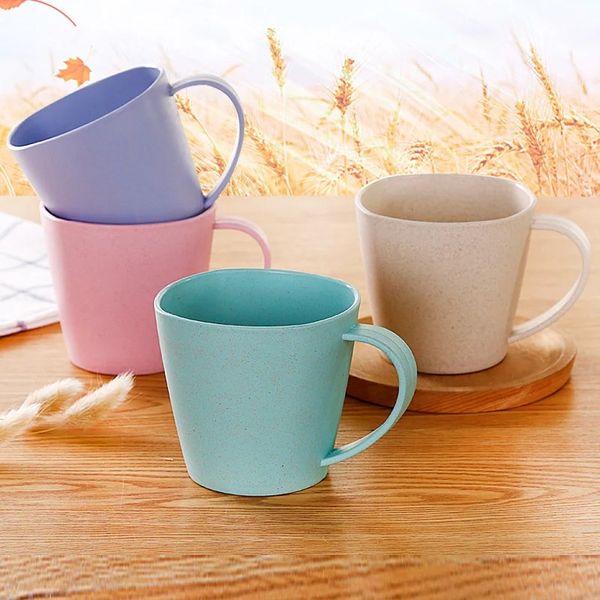 Tasses de lait de paille de blé sain