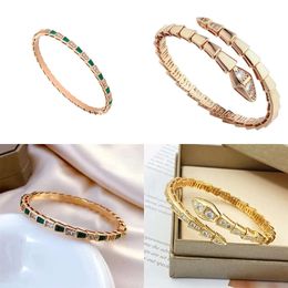 Heart 2024 Gold Bangle Designer Bracelets en diamant pour femmes bijoux de serpent en acier inoxydable pour femmes