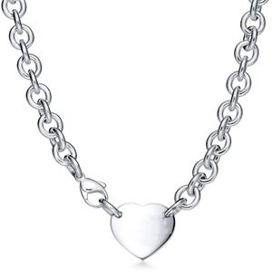 Hart ketting dames roestvrijstalen paar hanger sieraden in de nek Valentijnsdag cadeau voor vriendin accessoires geheel C317a