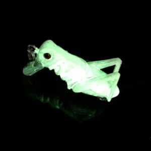 Hengjia plastic insect visserij lokken 3,5 cm 3G minnow fluorescentie levensechte cricket bas snoek vistuig