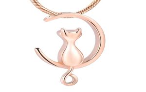 HH10024 Silvergoldblack Moon Cat Forme Jewelry Crémation Bijoux Pet Ambarcations Urns Collier Mémorial Pendentif For Women Mmen Wholes7396553