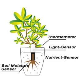 HHCC Flora Monitor Garden Care Plant Grass Sol Fertilité Smart Tester Tester Capteur Fleur Dériteur de jardin pour Xiaomi Mijia