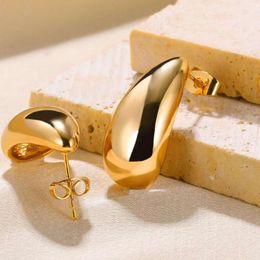Boucles d'oreilles de luxe légères de haute qualité en acier inoxydable goutte d'eau piercing d'oreille pour femmes délicatesse mode oreilles bijoux tendance cadeau livraison gratuite le cadeau paty