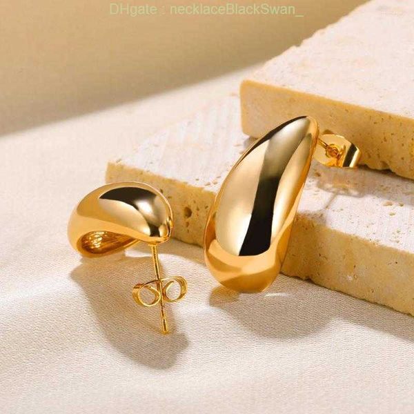 Pendientes de lujo ligeros de alto diseñador Pendientes de acero inoxidable Gota de agua Perforación de oreja para mujeres Delicadeza Moda Orejas Joyería Regalo Tendencia Entrega gratuita El 2023 VEKP