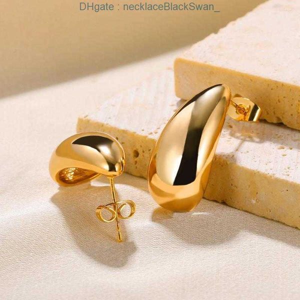 Pendientes de lujo ligeros de alto diseñador Pendientes de acero inoxidable Gota de agua Perforación de oreja para mujeres Delicadeza Moda Orejas Joyería Regalo Tendencia Entrega gratuita El 2023 EUX2