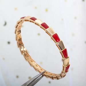Bracelet à charme de haute édition High Edition Femme à plaques en V épais en forme de V Matière d'or épais.Parfaitement incrusté de diamants, méticuleusement poli