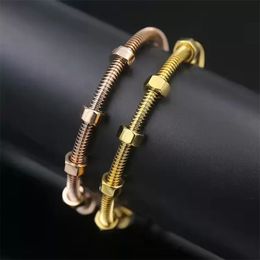 High End Designer 6 Schroeven Liefde armbanden armbanden voor vrouwen mannen roestvrij staal paar draad Armband Nooit Vervagen