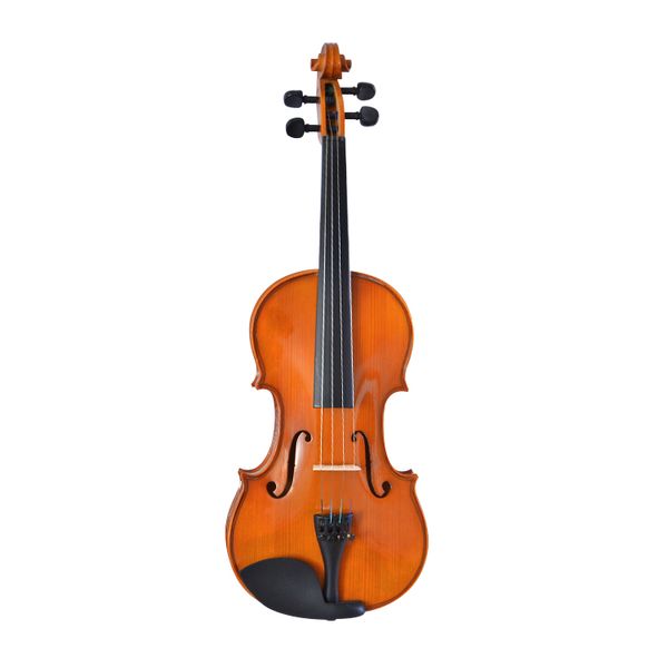 Test de qualité professionnelle en bois massif à main haut de gamme 4/4 violon noir avec un ensemble complet d'accessoires