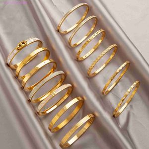 Bracelet en acier en titane en or avancé en or avancé avec zircon et diamant pour femmes petites design
