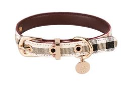 Collier en cuir pour animaux de compagnie, haut de gamme, presbyte, Teddy Schnauzer, yo-dog, collier pour chat, vente en gros d'usine