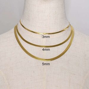 High -end PVD Gold Ploated Herringbone ketting ketting slangenketting roestvrijstalen ketting 2024