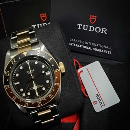Version de haute qualité Tudery Designer Wristwatch Empire Blue Bay 41 mm Gold Black Mechanical Mens montre 79833mn-0001 Montres