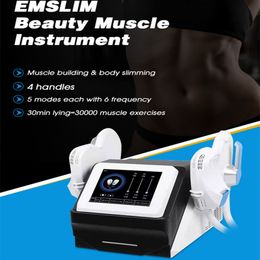 Énergie magnétique à haute intensité mince Sculpt Body Slim Electro Magnétique esthétique Poids équipement de beauté