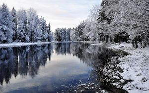 Hoge Bergen en Bergen Meer Bos Sneeuw Landschap Natuurlijke Landschap Achtergrond Muur Muurschildering 3D Wallpaper 3D Muurdocumenten voor TV Achtergrond