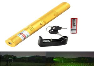 Pointeur laser à haute puissance 532NM 303 Pointeur laser Pointeur de faisceau vert Pointeur Lazer Projecteur Lampe avec différentes couleurs de coque2 en 1 STA4180758