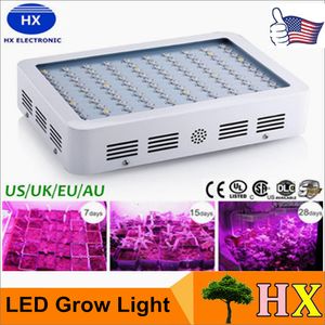 Haute puissance 600W 800W 1000W Double puce à spectre complet LED élèvent le Kit de panneau de lumière pour la plante à effet de serre Veg AC 85-265V