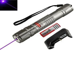 High Power Blue Purple Beam Pointer Pen Pen Demo Puntero de bolígrafo remoto Proyector Focusable Viajes Fincesas al aire libre3186627