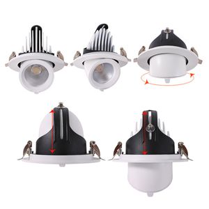 High Power Cob LED Downlight 10W 20W 30W 40W Verstelbaar 360 graden plafond olifant stam downlight AC85-265V Home Lighting