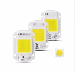 Hoge Power COB LED-lamp Chip 220 V Smart IC Geen Driver COB LED Diode Licht Kralen LED Bulb Vloed Licht Spotlight 20W 30W