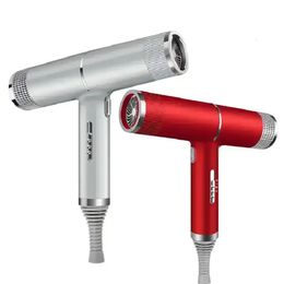 High Power Hair Dryer Negatief ionen Haarverzorging Professinal Quick Dry Home Krachtige haardroger Constant Anion Electric Hair Dryer 240415