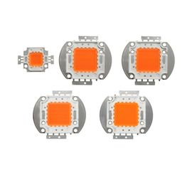 Puce LED haute puissance 50 W Lumière du soleil Plante à spectre complet 380 nm - 840 nm Intensité super lumineuse SMD COB Composants émetteurs de lumière Diode 50 W Ampoule Perles de lampe