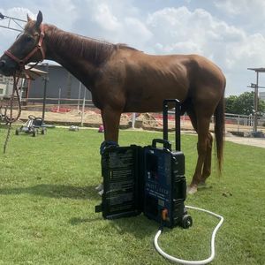 High Power Veterinaire Kliniek Gebruik 10000 Gauss Pemf Magnetische Therapie Paard Behandelingsapparaat Diepe Oscillatie Pijnbestrijding PMST Lus voor Paard