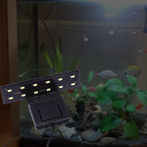 Éclairage d'herbe à eau haute puissance 6W 220V EU PLIG 12 CLIP LED sur la lampe à pince pour petit aquarium