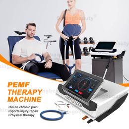 Dispositivo de terapia magnética PEMF de alta potencia bucle PMST Cuidado de la salud de todo el cuerpo y alivio del dolor de caballos Equipo de fisioterapia