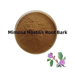 Racines de haute pureté séchées Mimosa Bark 30: 1 Plant de plante séchée Racines herbacées