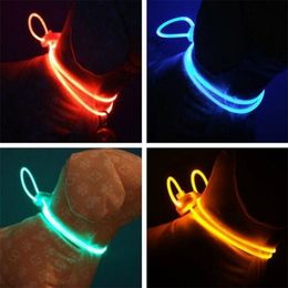 Haute qualité 1 pièces multicolore LED collier pour animaux de compagnie réglable nuit sécurité collier pour animaux de compagnie lumineux éclairer chien de compagnie collier lumineux laisse 220610