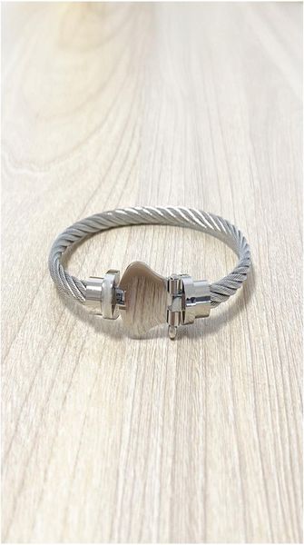 Alta calidad 100% puro brazalete de acero inoxidable Cable Bangle Bangle para mujeres joyas de plata al por mayor de plata con caja7922107