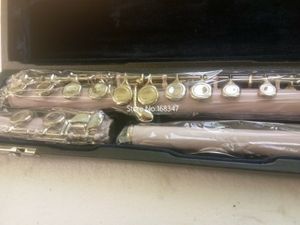 Hoge kwaliteit 16 Close Gaten Poeder Flute C Sleutel Geplated Muziekinstrument met accessoires Gratis verzending