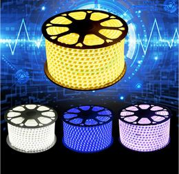 Hoge kwaliteit 220V LED-stripverlichting 2835SMD Flexibele buitenlamp Waterdichte LED-tape met EU / US-stekker