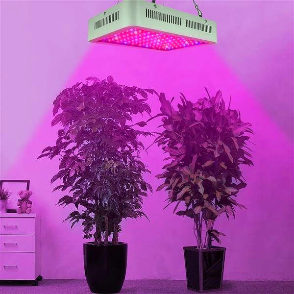 Haute qualité 600W double puces 380-730nm spectre lumineux complet LED lampe de croissance des plantes blanc matériau de qualité supérieure élèvent des lumières