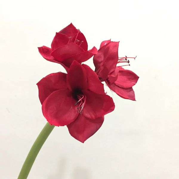 Branche de fleur d'amaryllis artificielle de haute qualité pour les arrangements de vase décoration de mariage de table à la maison fausses fleurs en soie Barbadoslily 240306